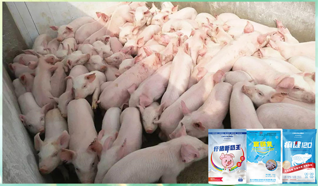 long8Ψһ���������������Ӽ�