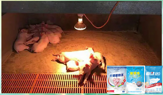 long8Ψһ���������������Ӽ�