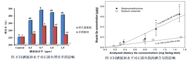 �������Ӽ�