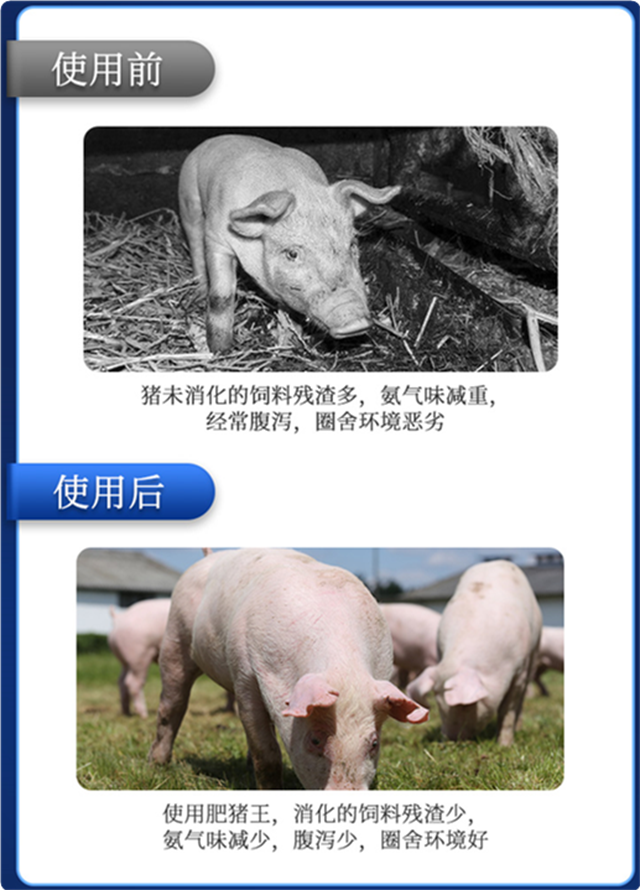 long8Ψһ����-������ʹ��Ч��