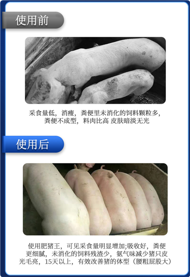 long8Ψһ����-������ʹ��Ч��