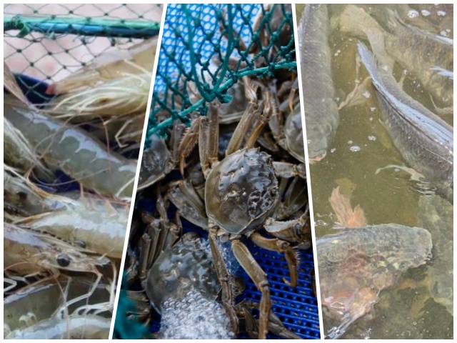 ˮ������Ӫ��ѧ����,