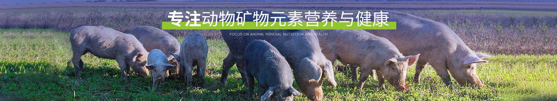 �߽�long8Ψһ����