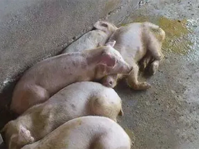 ������������2022�궬����������������к֢״�������������������ղأ�