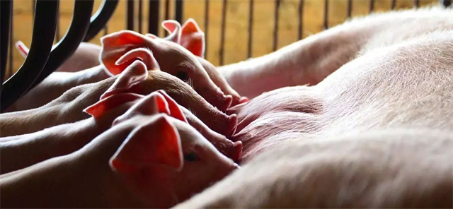 long8Ψһ�����������п��Ӧ��