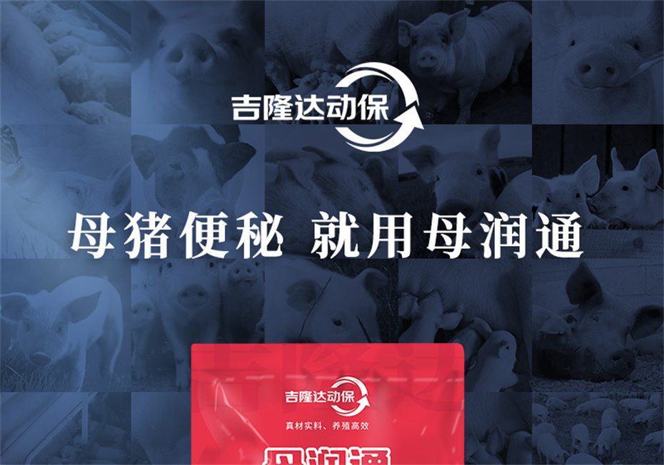 long8Ψһ�����������������Ӽ�ĸ��ͨ��Ʒ����