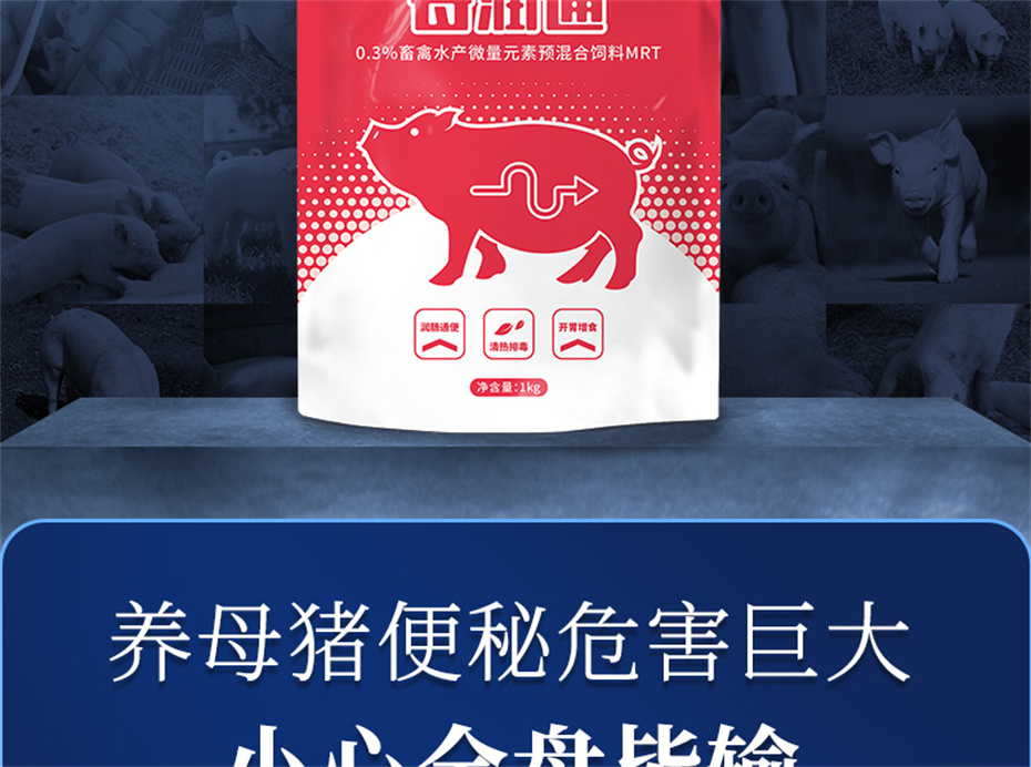 long8Ψһ�����������������Ӽ�ĸ��ͨ��Ʒ����