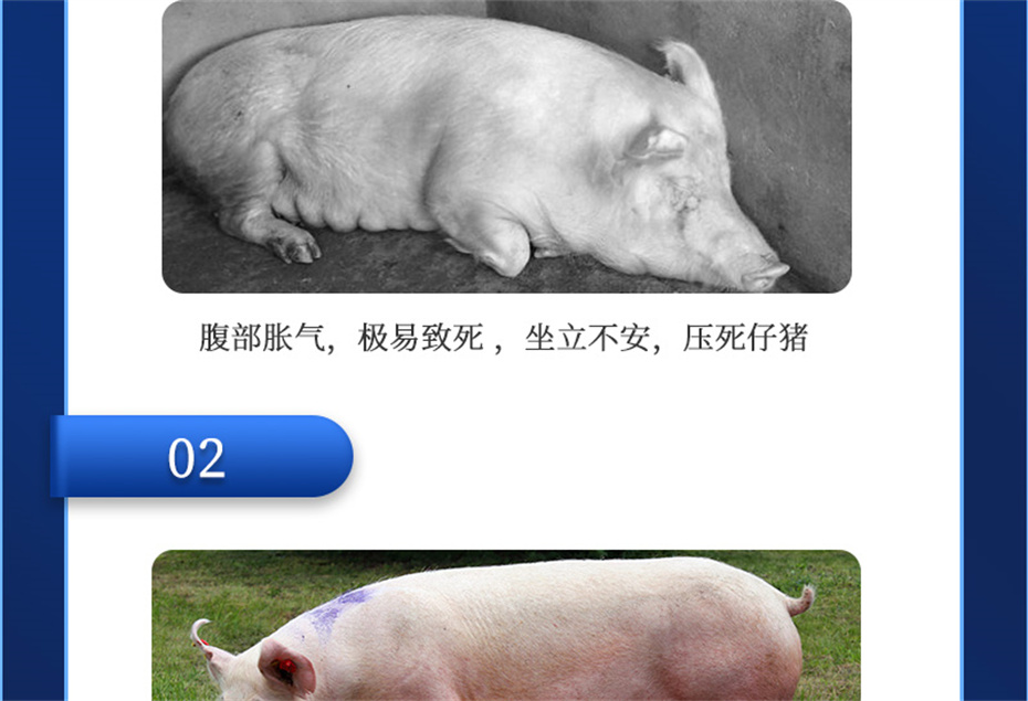 long8Ψһ�����������������Ӽ�ĸ��ͨ��Ʒ����