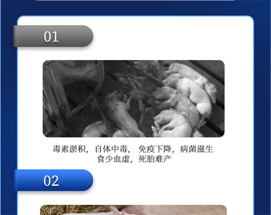 long8Ψһ�����������������Ӽ�ĸ��ͨ��Ʒ����