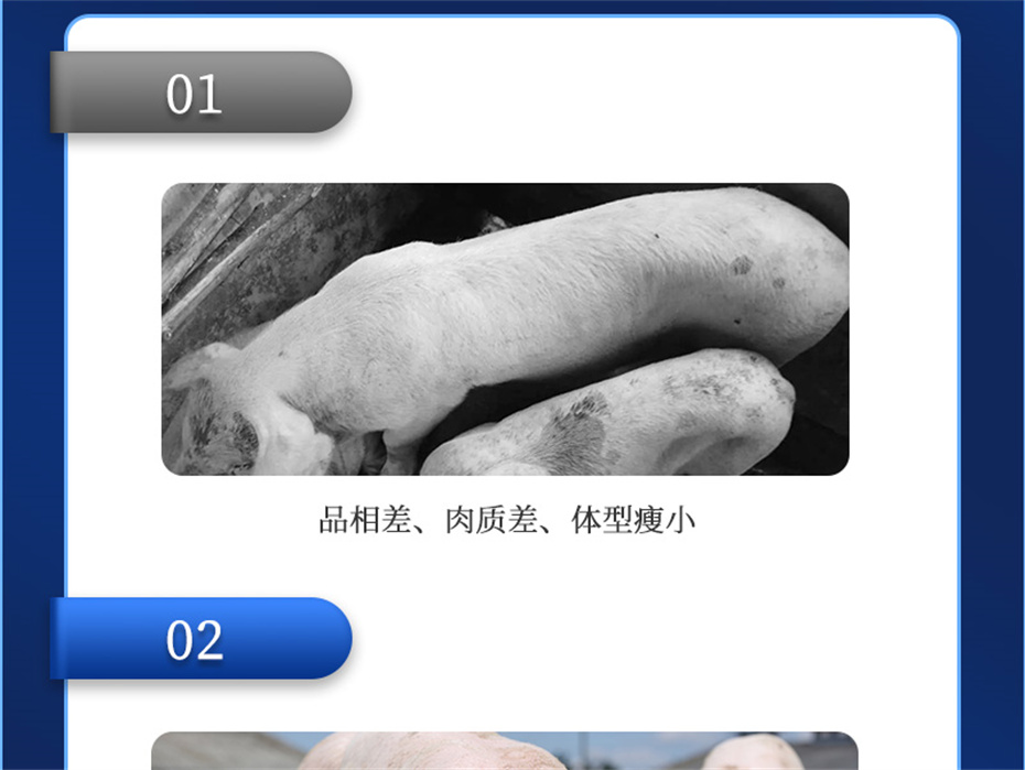 long8Ψһ�����������������Ӽ�ĸ��ͨ��Ʒ����