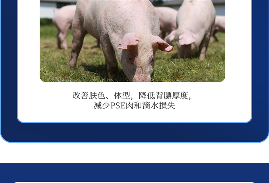 long8Ψһ�����������������Ӽ�ĸ��ͨ��Ʒ����