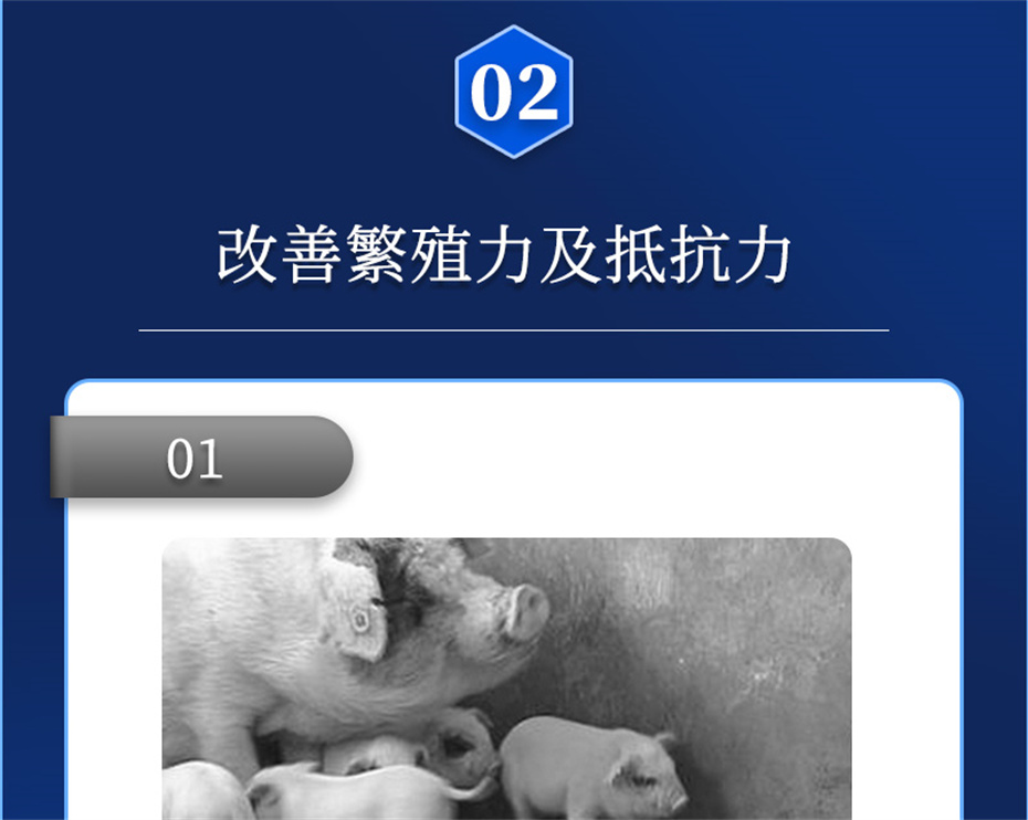 long8Ψһ�����������������Ӽ���ֳ����Ʒ����