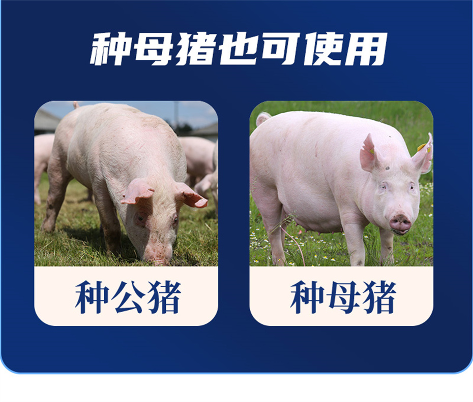 long8Ψһ�����������������Ӽ���ֳ����Ʒ����