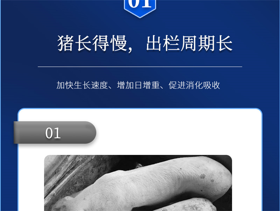 long8Ψһ�����������������Ӽ���������Ʒ����