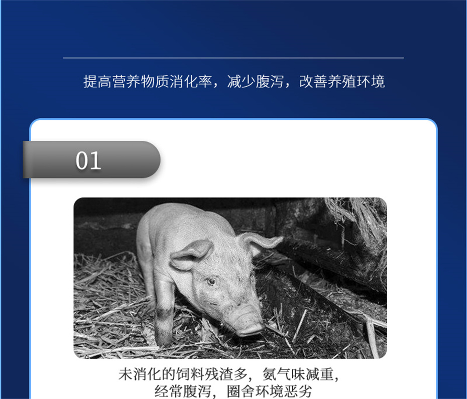 long8Ψһ�����������������Ӽ���������Ʒ����