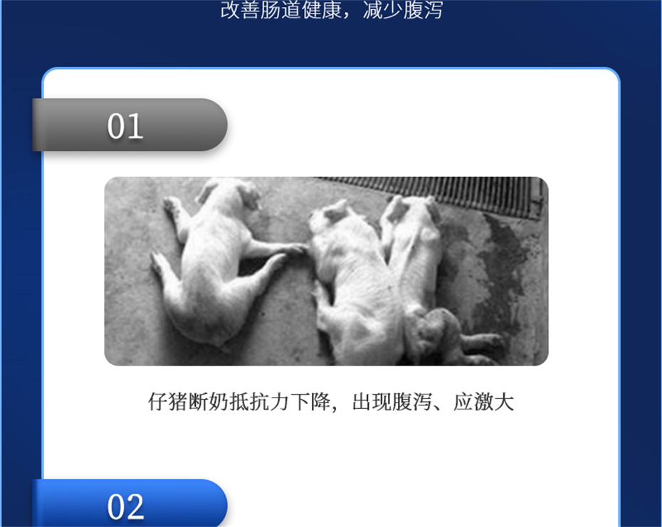 long8Ψһ�����������������Ӽ�������������Ʒ����