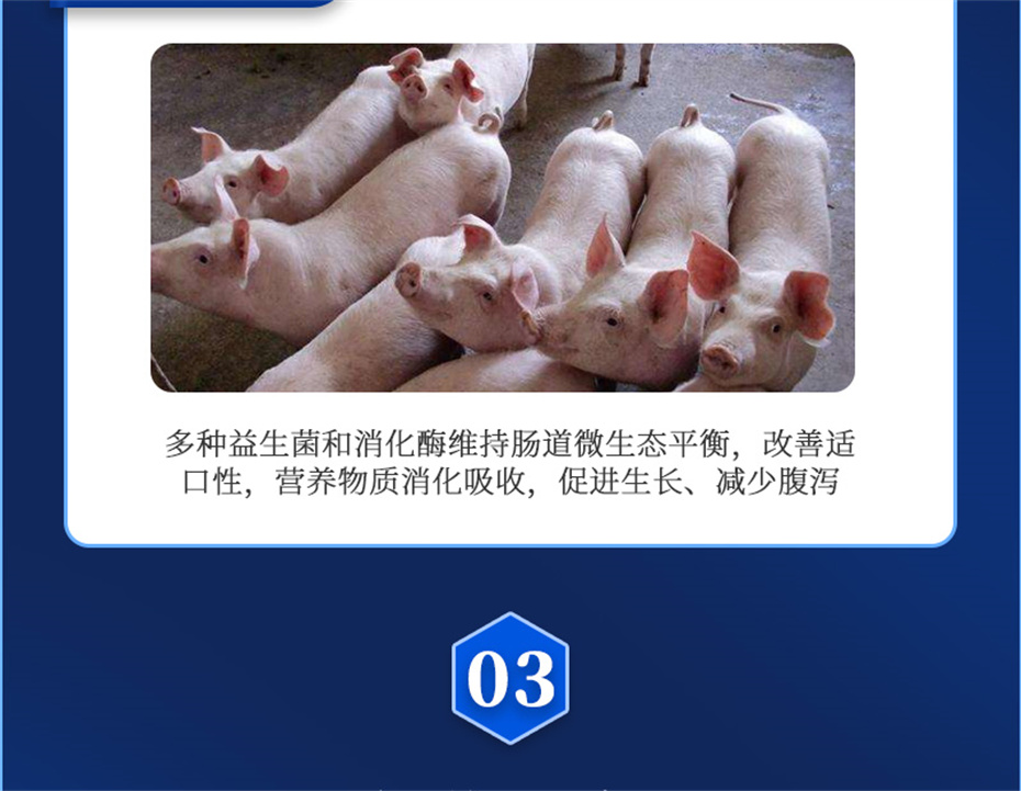 long8Ψһ�����������������Ӽ�������������Ʒ����