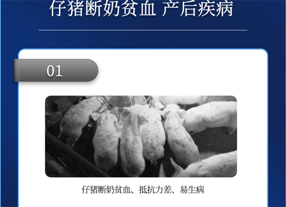 long8Ψһ�����������������Ӽ�������������Ʒ����