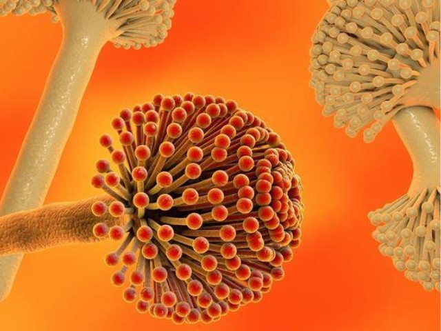 ù�����ط��ش�ʩ