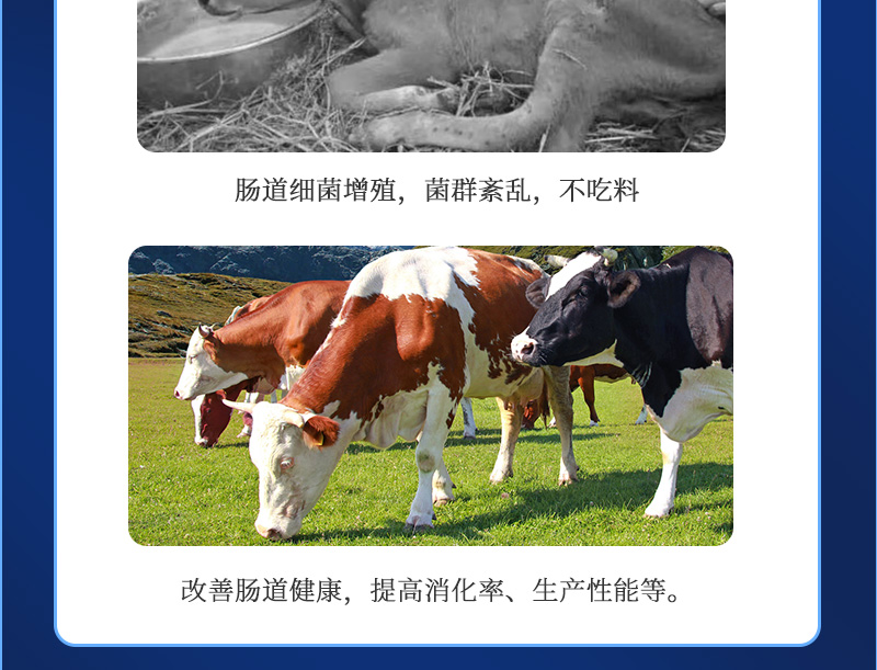 ���������_03