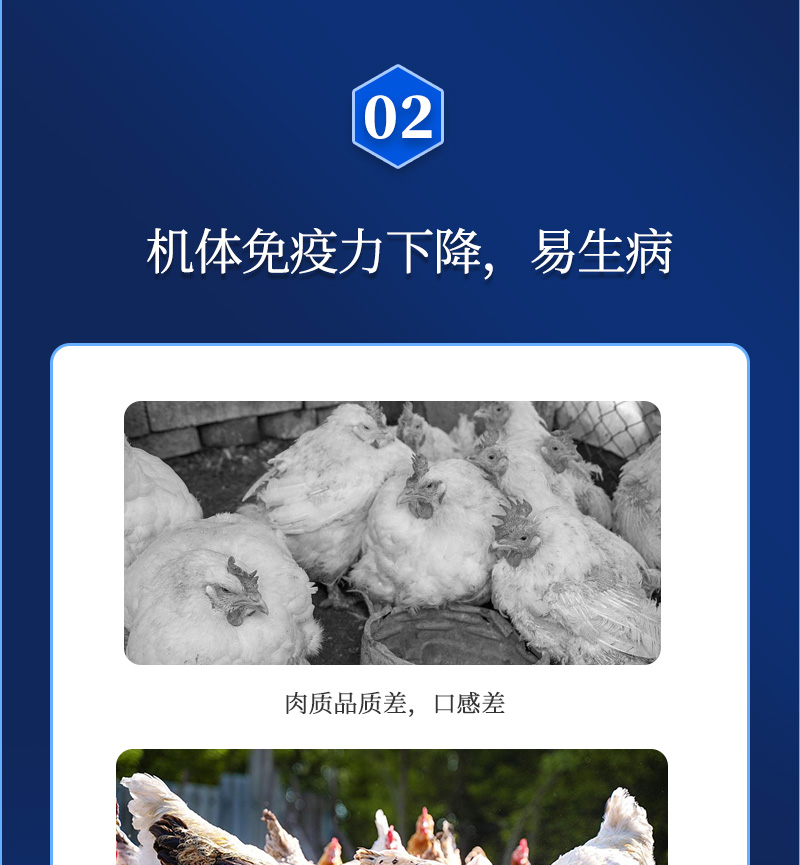 ���������_04