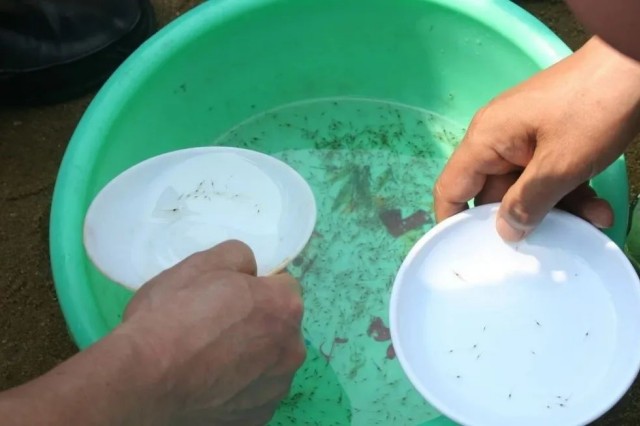 ��Ϻ�����ʱ��