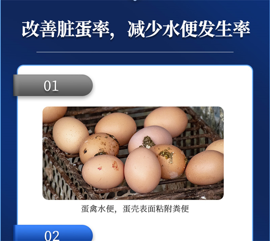 long8Ψһ�����������������Ӽ�ǿ�Ǳ���Ʒ����