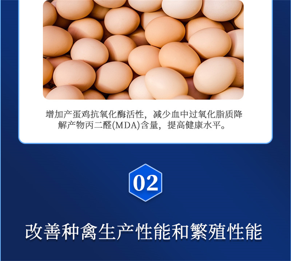 long8Ψһ�����������������Ӽ�����Ѫ�ݲ�Ʒ����