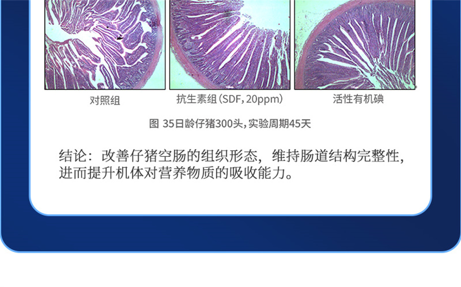 long8Ψһ�����������������Ӽ�����120��Ʒ����