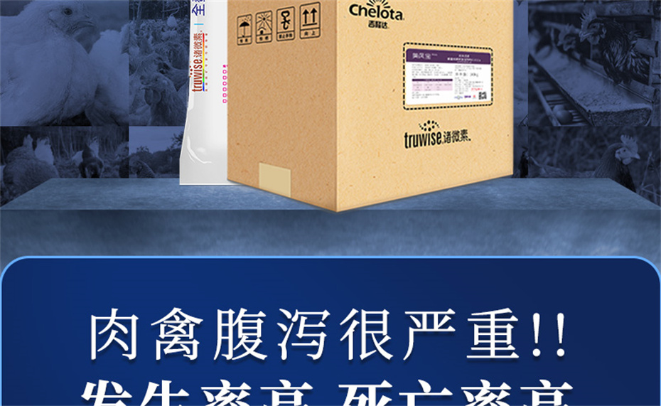 long8Ψһ�����������������Ӽ����ﱦ��Ʒ����