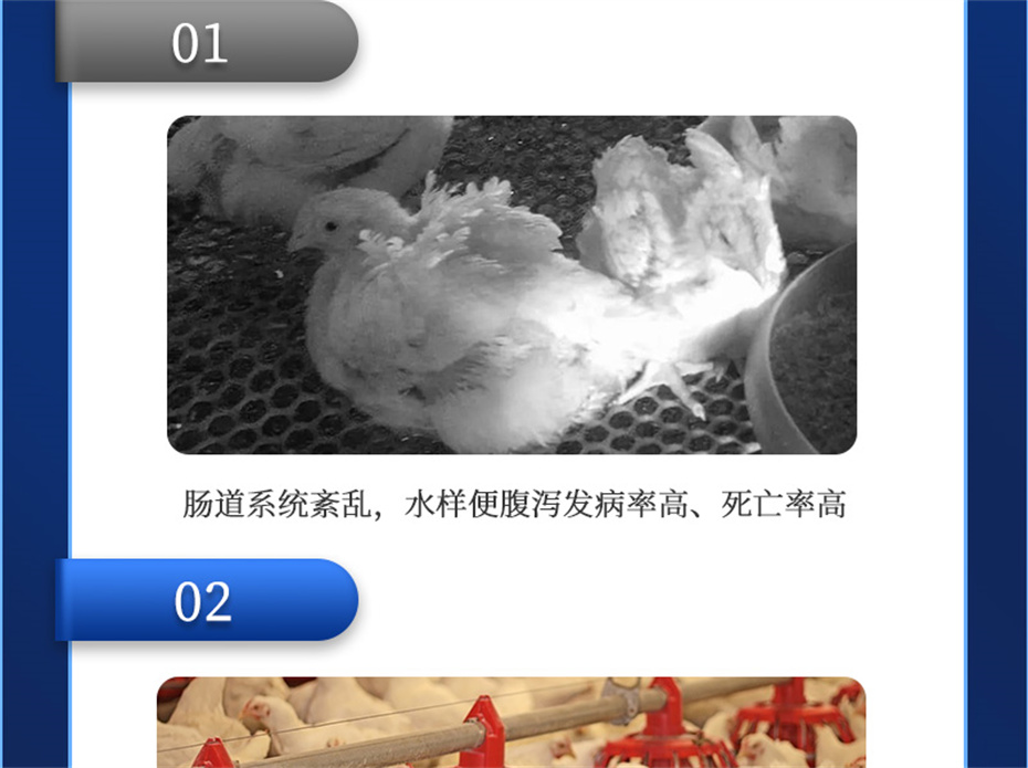 long8Ψһ�����������������Ӽ����ﱦ��Ʒ����