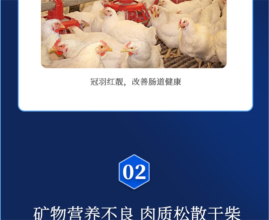 long8Ψһ�����������������Ӽ����ﱦ��Ʒ����