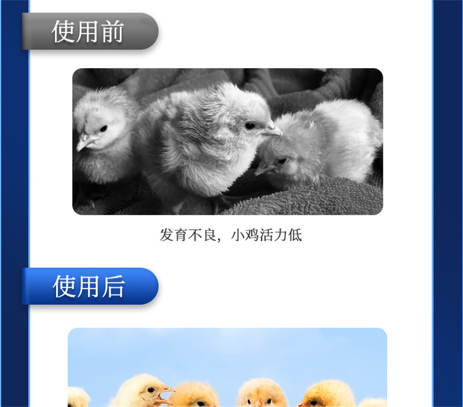 long8Ψһ�����������������Ӽ���������Ʒ����