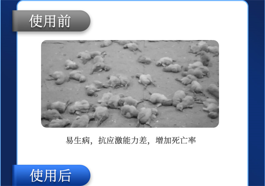 long8Ψһ�����������������Ӽ���������Ʒ����