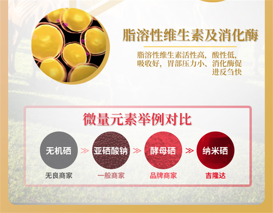 long8Ψһ��������ţ���������Ӽ�ţ��׳������Ʒ����