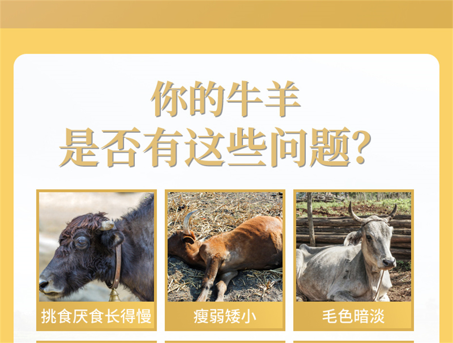 long8Ψһ��������ţ���������Ӽ�ţ��׳������Ʒ����