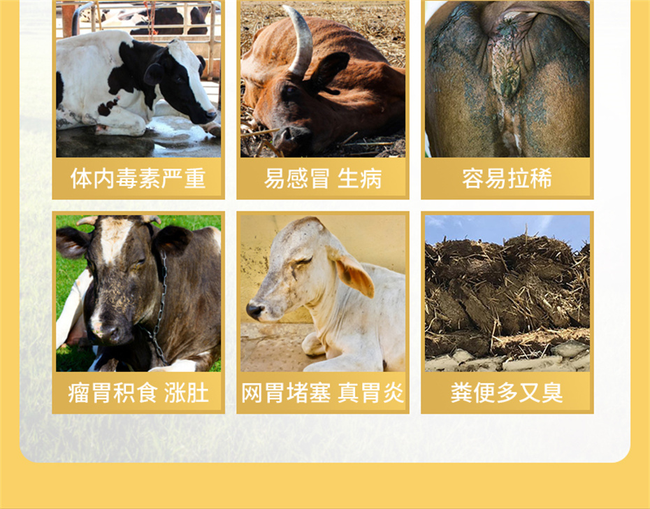 long8Ψһ��������ţ���������Ӽ�ţ��׳������Ʒ����