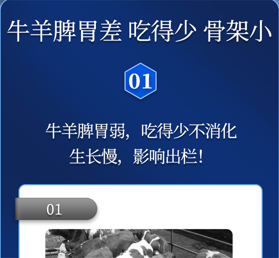 long8Ψһ��������ţ���������Ӽ�ţ��Ԫ˧��Ʒ����