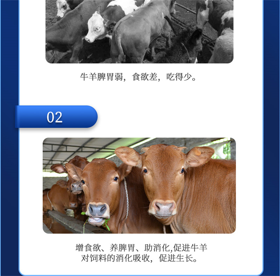 long8Ψһ��������ţ���������Ӽ�ţ��Ԫ˧��Ʒ����