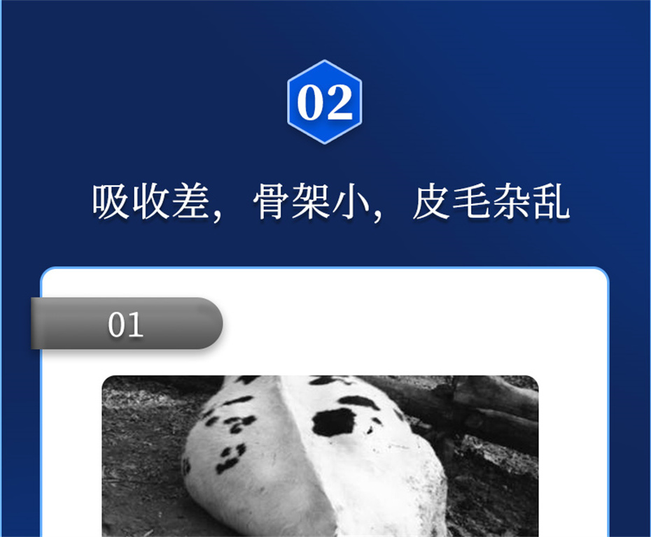 long8Ψһ��������ţ���������Ӽ�ţ��Ԫ˧��Ʒ����