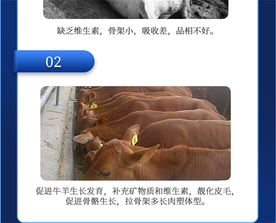 long8Ψһ��������ţ���������Ӽ�ţ��Ԫ˧��Ʒ����