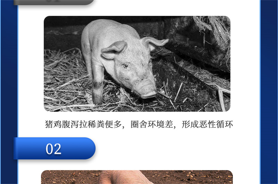 long8Ψһ�����������������Ӽ��������Ʒ����