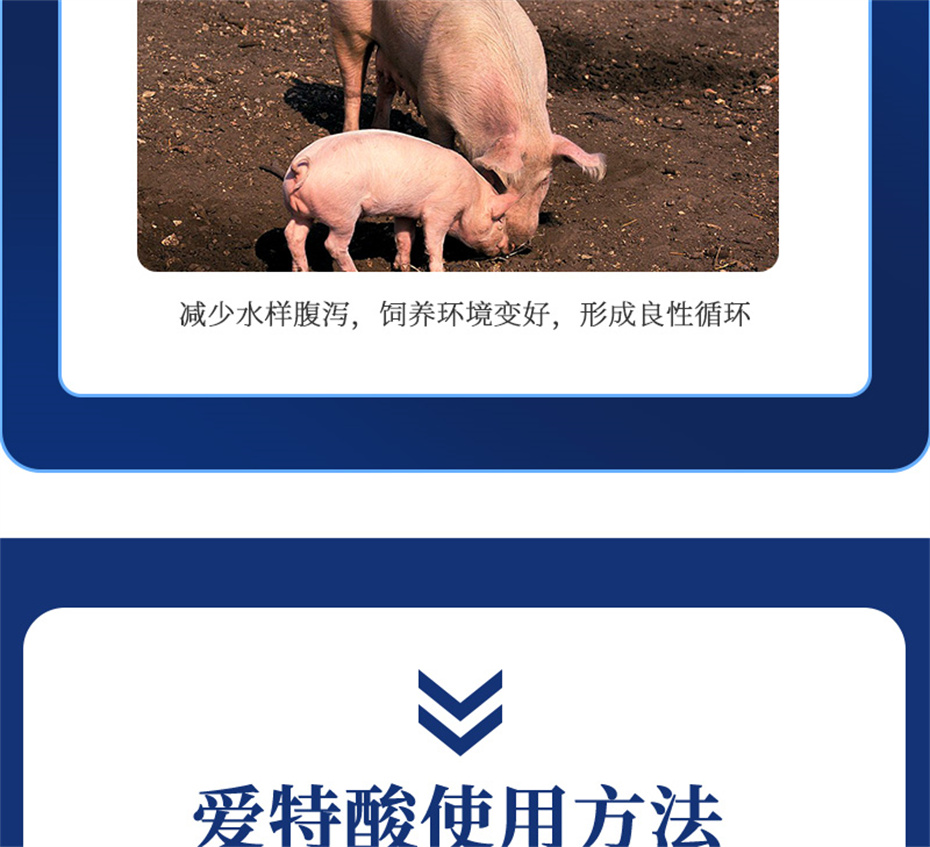 long8Ψһ�����������������Ӽ��������Ʒ����