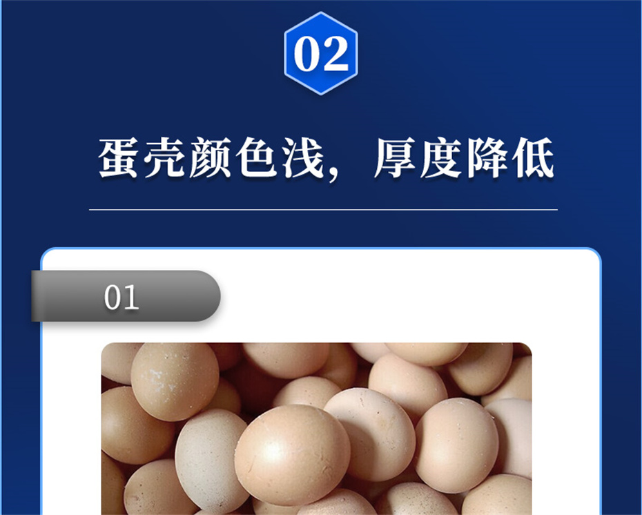 long8Ψһ�����������������Ӽ�ǿ�Ǳ���Ʒ����