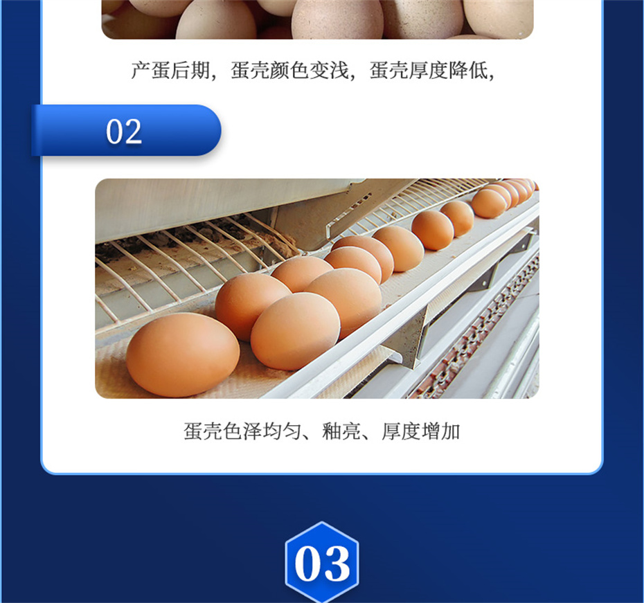 long8Ψһ�����������������Ӽ�ǿ�Ǳ���Ʒ����