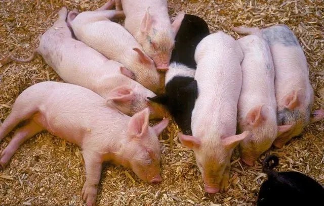 ������к