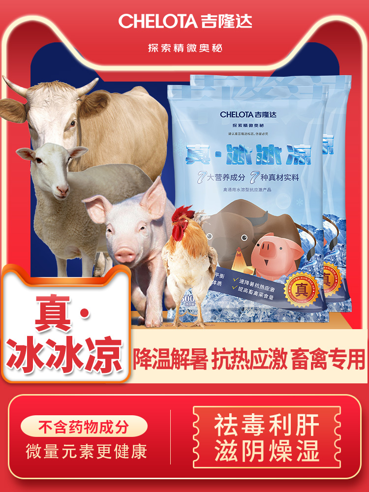 long8Ψһ�����桤������