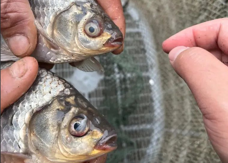 Խ������ο��ٸ�����Ϻ����������