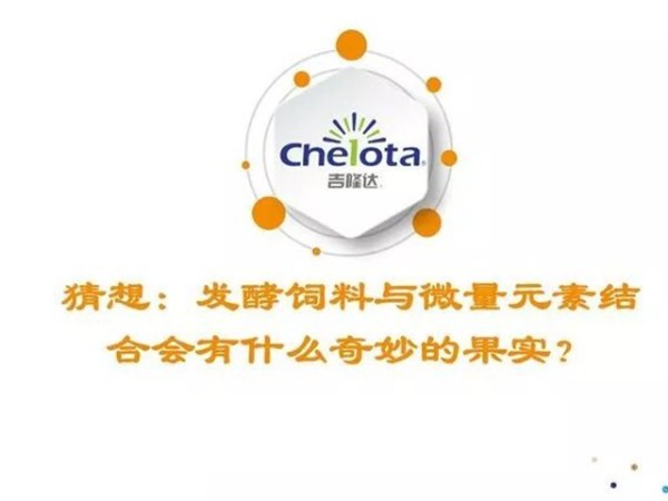 �������Ӽ�