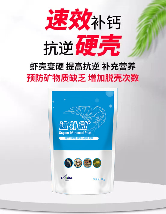 long8Ψһ�����ٲ�΢+